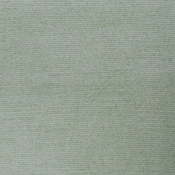 Chenille 